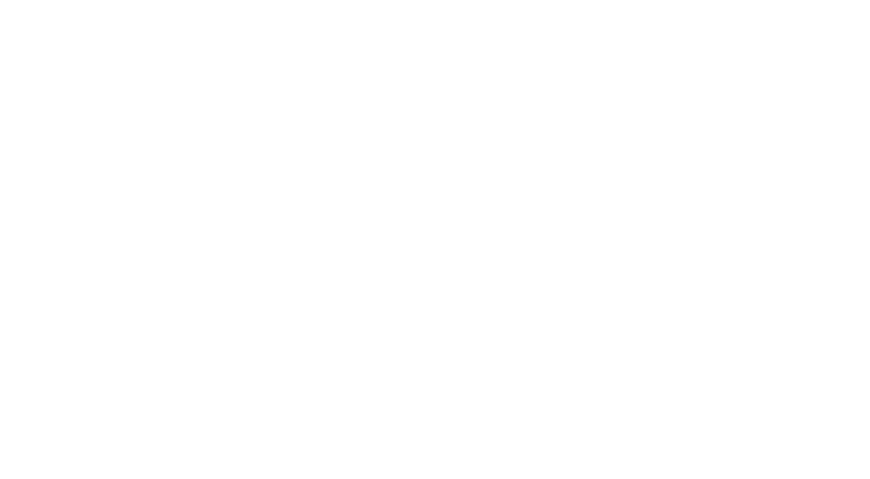 Groupe Raineau